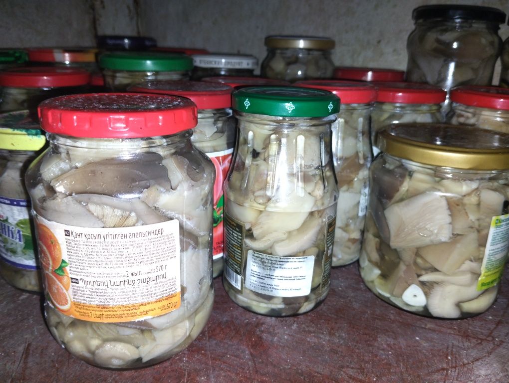 Грибы маринованные