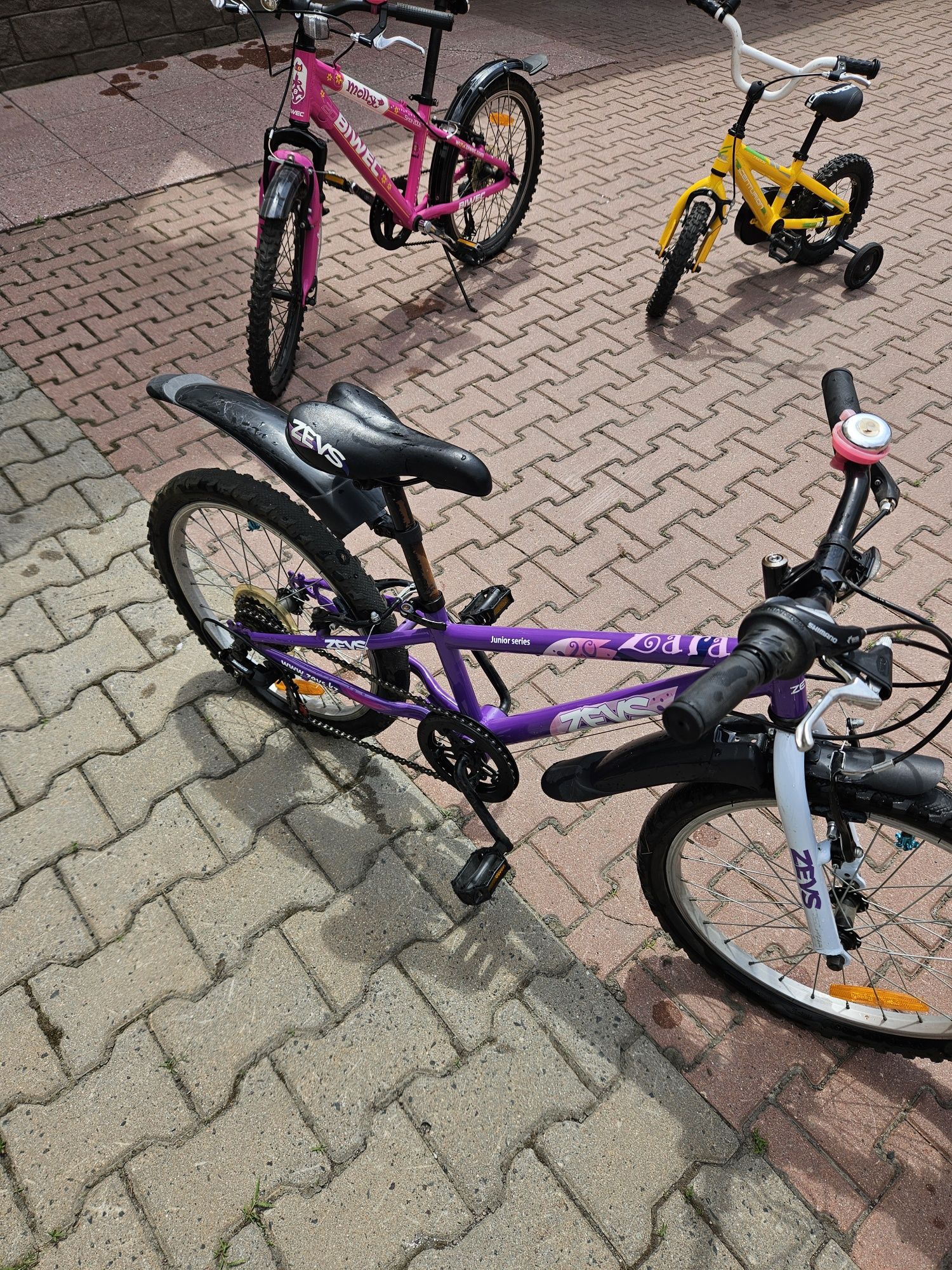 Велосипед Zevs Zara детский, фиолетовый, колеса 20"