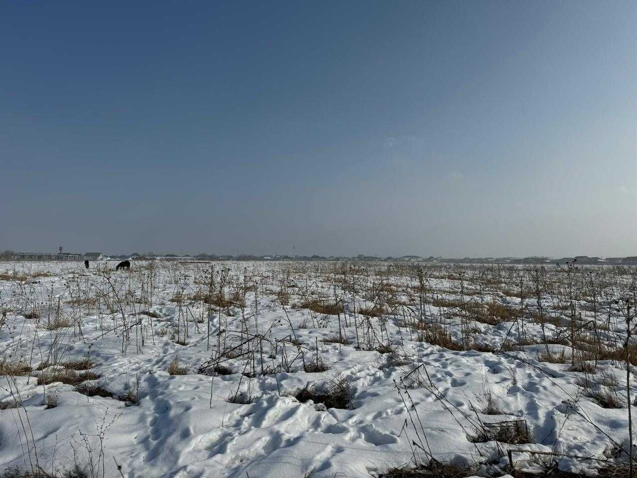 Продаются участки 8соток в Каргалы (Фабричный) Наурыз