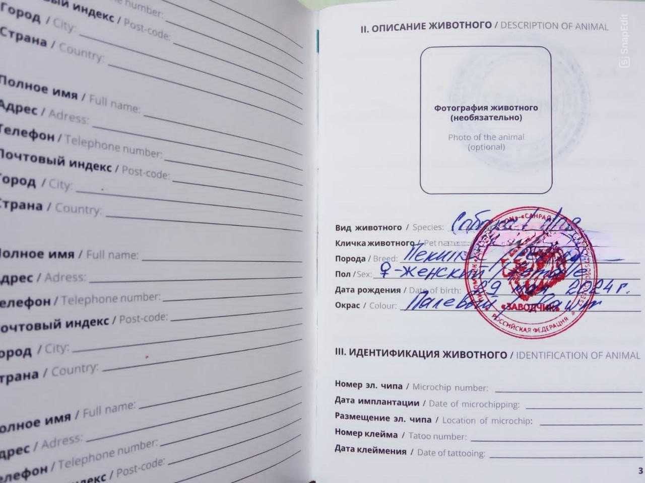 Продам щенков "Пекинесиков"