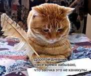 Курсовые, дипломы, отчёты — быстро, качественно, недорого!