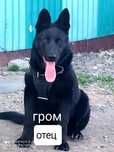 Кабель вео. Для вязки