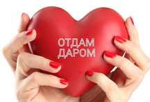 Отдам даром одежду