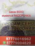 Продаётся сено в руллонах