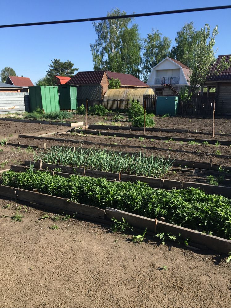 Продам дачу 131 км дачное общество Звездочка.