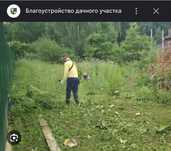 Покос травы, спил деревьев и кустарников