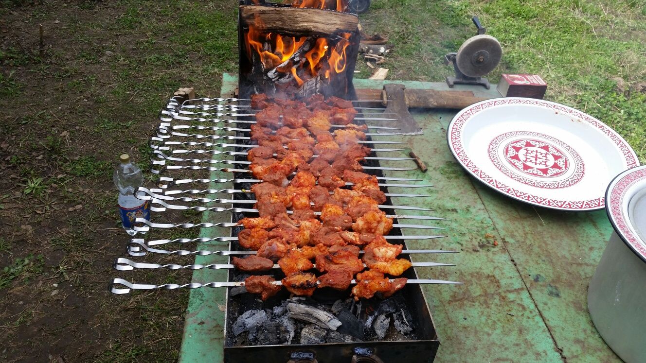 Мангал в аренду с шампурами и без.