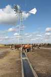 Ветронасос механический для подъёма воды из скважин и колодцев