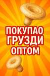 Купим.Грузди соленые оптом.