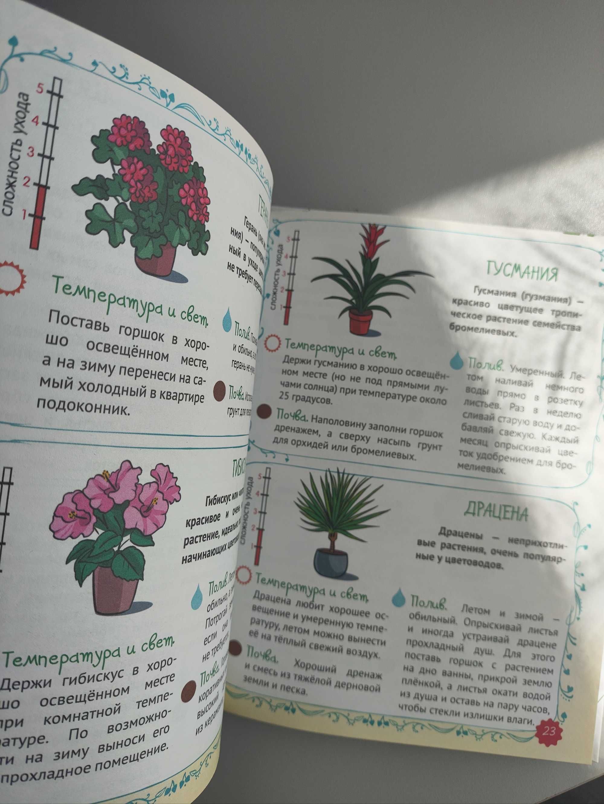 Книга для девочки. Энциклопедия для девочек.