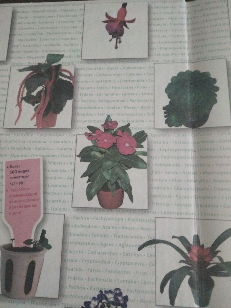 Библия комнатных растений.