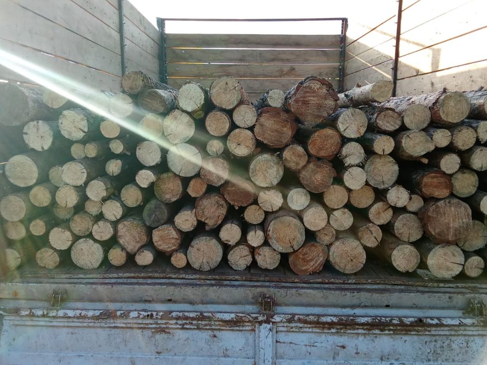 Продам жерди свежиее 1500