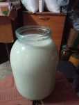 Продам   козье   молоко