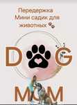 Передержка зоогостиница "Dog mom" Мини садик для животных