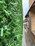 Зелёный Забор GREENZ.KZ