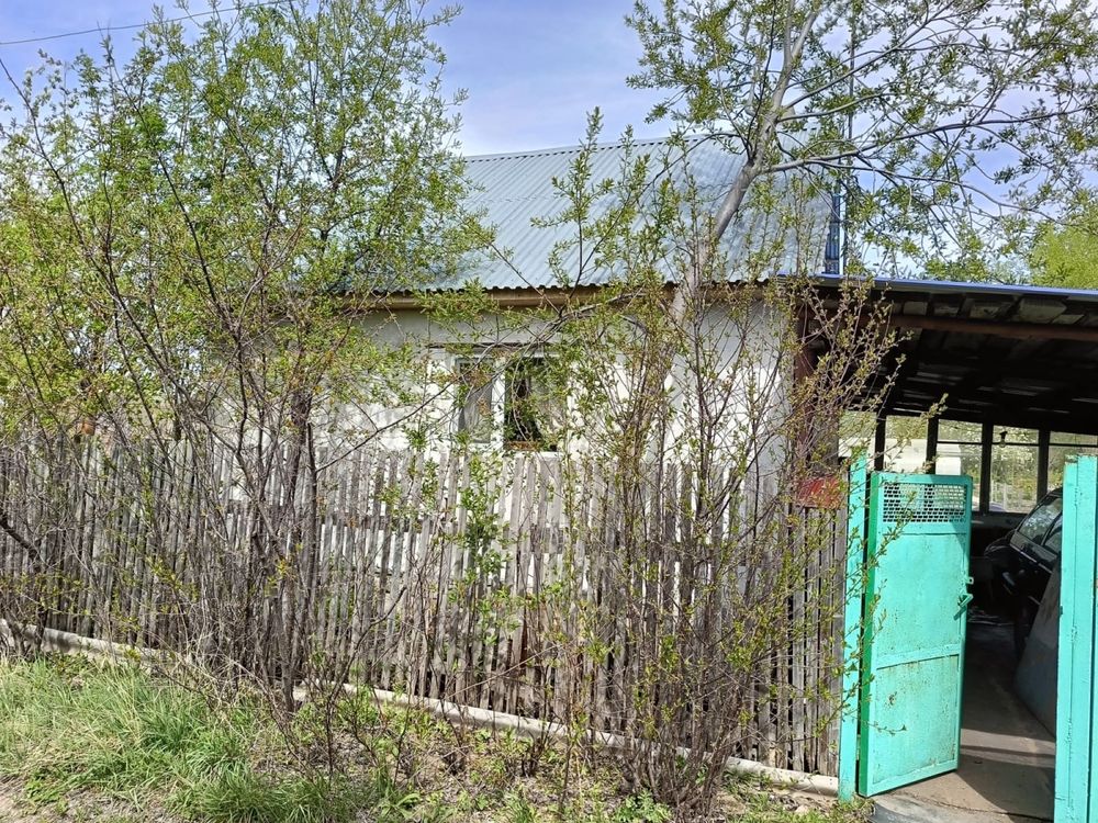 Продаю дачу с урожаем в обшестве СПП Металлург Грушевая 7