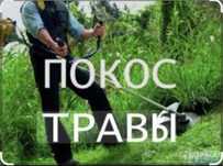 Покос травы триммером