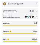 Семейный тариф Beeline