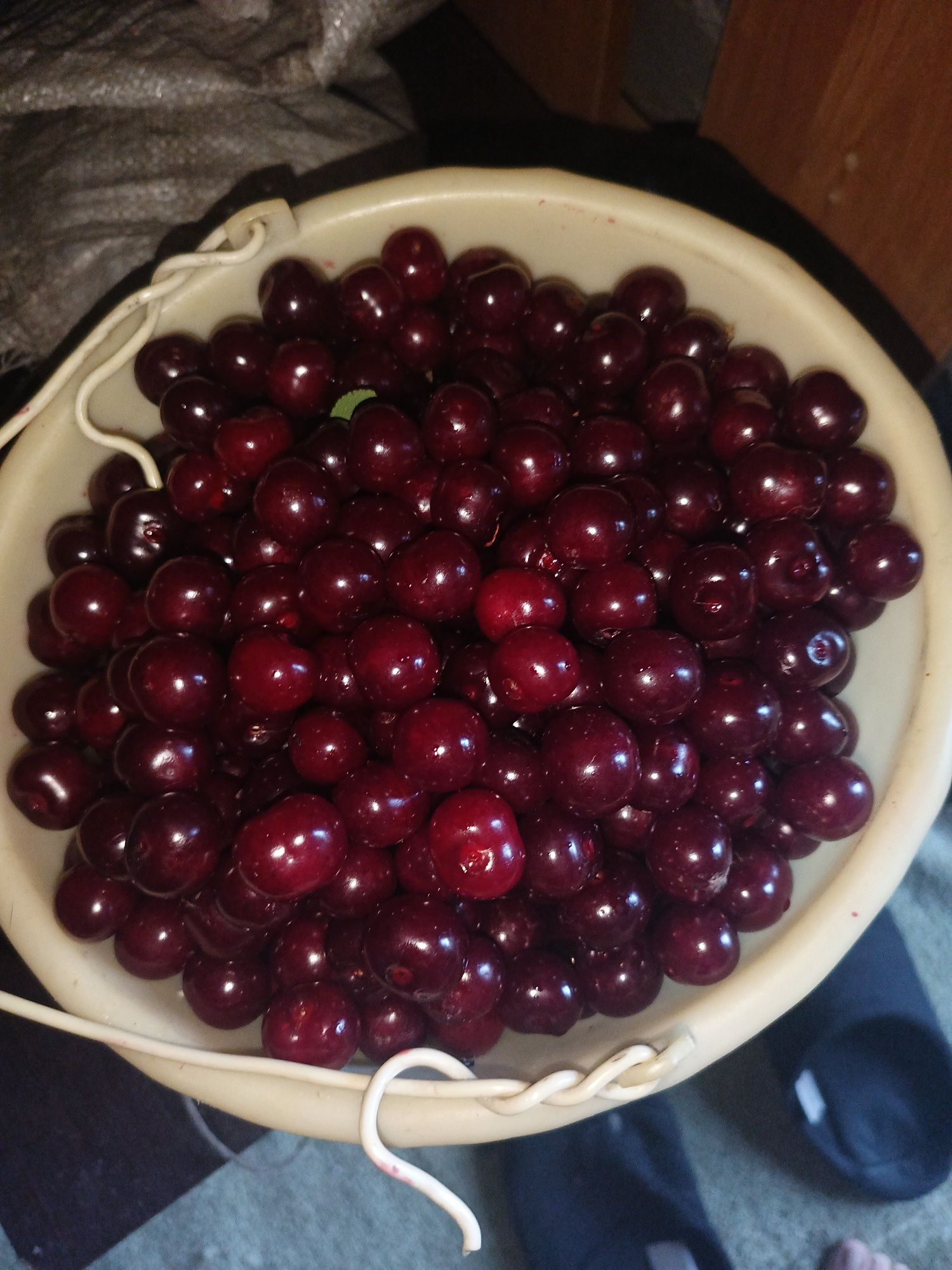 Продам вишню, крупная, сладкая, очень спелая