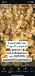 Продам утят , породы старт 53 , и фаворит