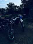 Мото Almotor 150 куб