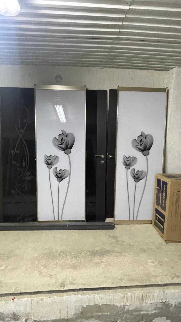 Раздвижные двери с рисунком