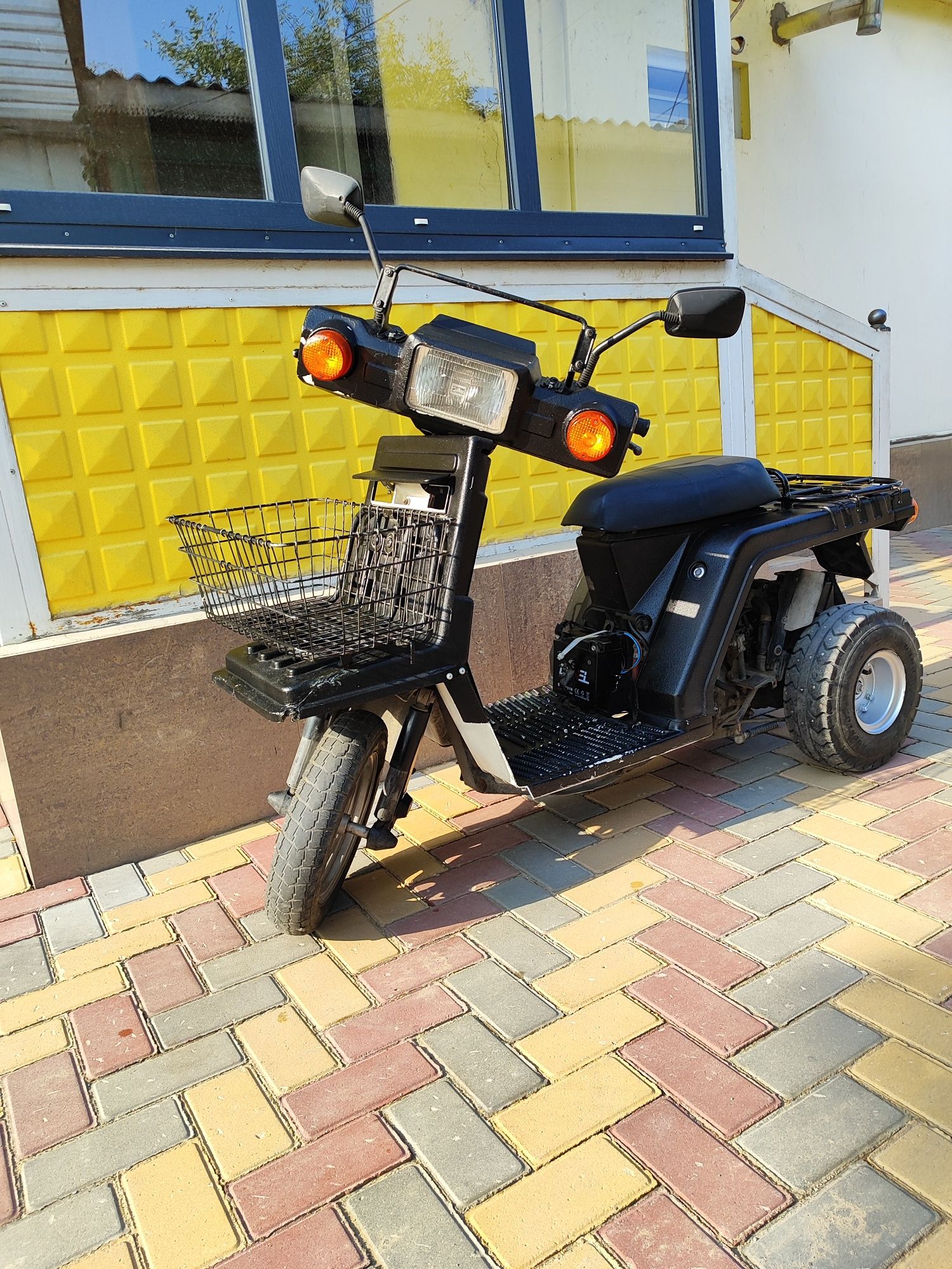 Чистокровный японец HONDA