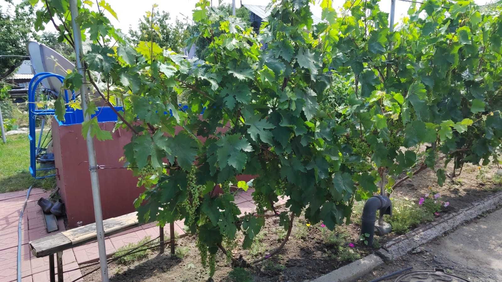 Продам дом 2 -х этажный ,Восточный мкр