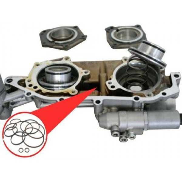 Ремкомплект двойного Vanos (Double Vanos) BMW M52TU, M54