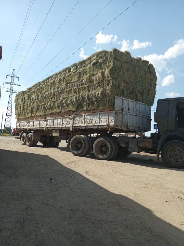 Сено житняк с доставкой.
