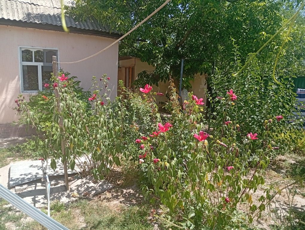 Продам дом с ремонтом