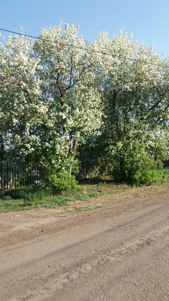 Продам земельный участок
