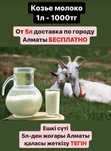 Козье молоко, Ешкі сүті