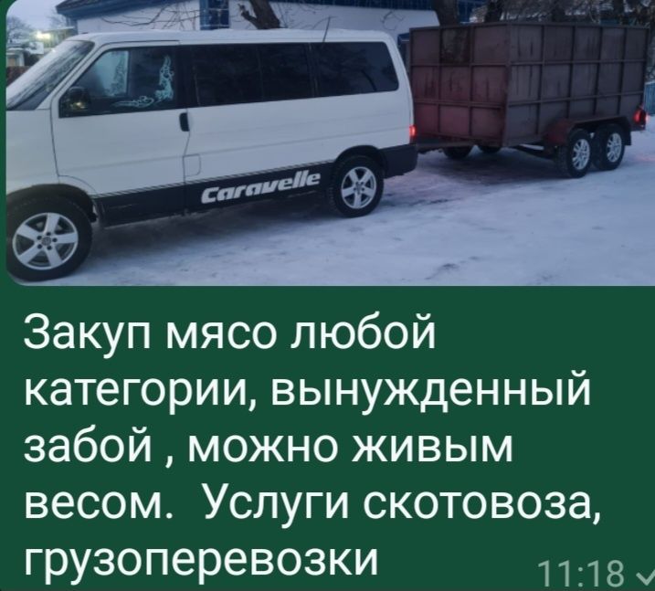 З.ак.у.п. м.я.с.о.