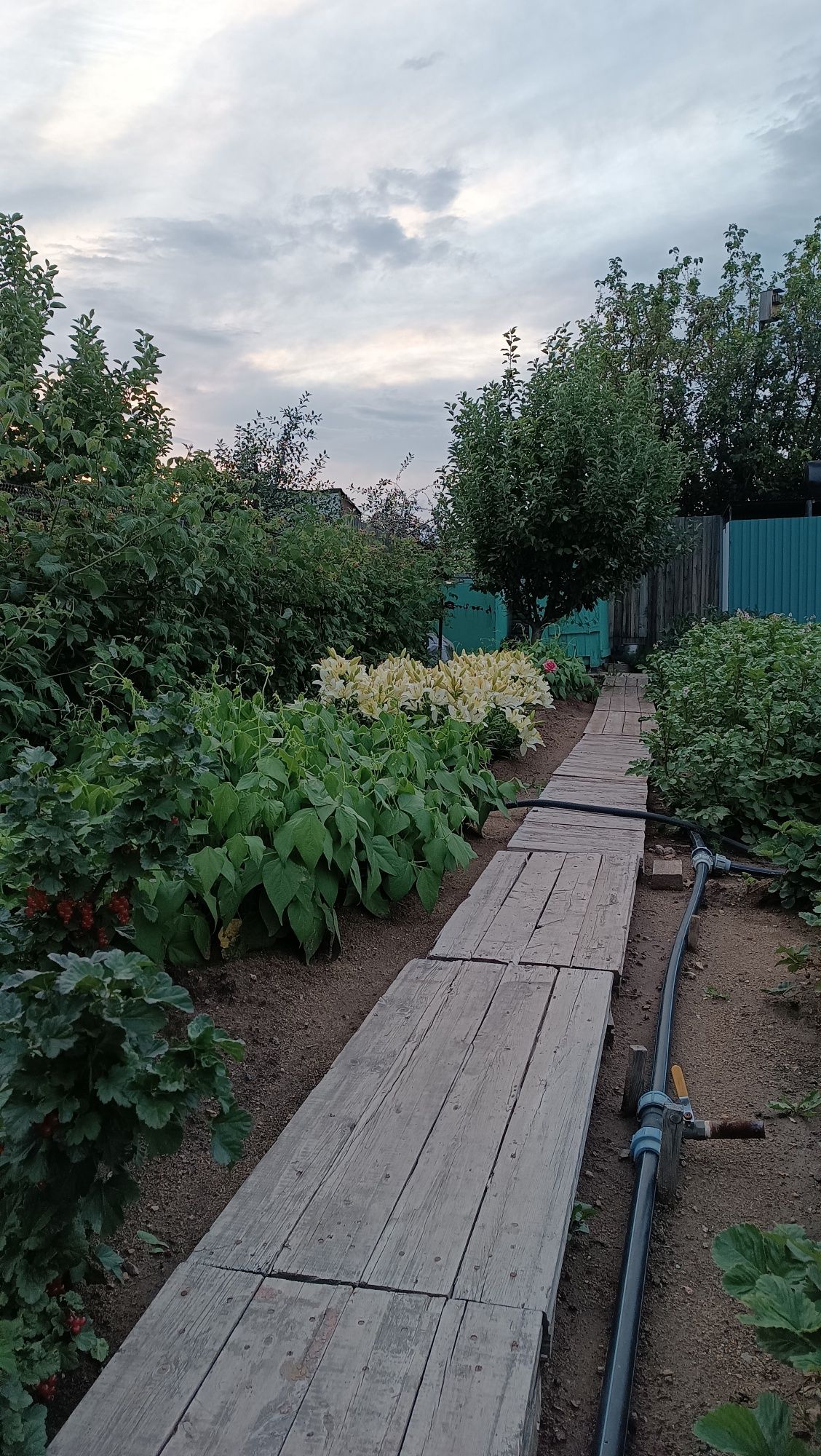 ПРОДАЮ ДАЧУ в обществе СПП