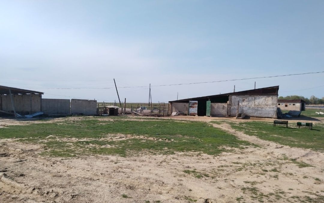 Фазенда продается недалеко от города Таразаз