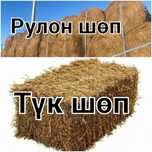Тюк шөп   1500тг