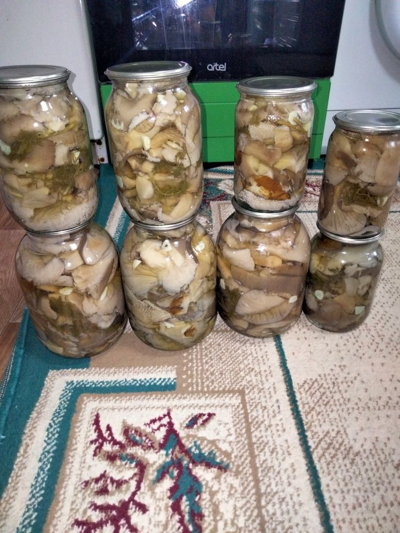 Продам грибочки звоните