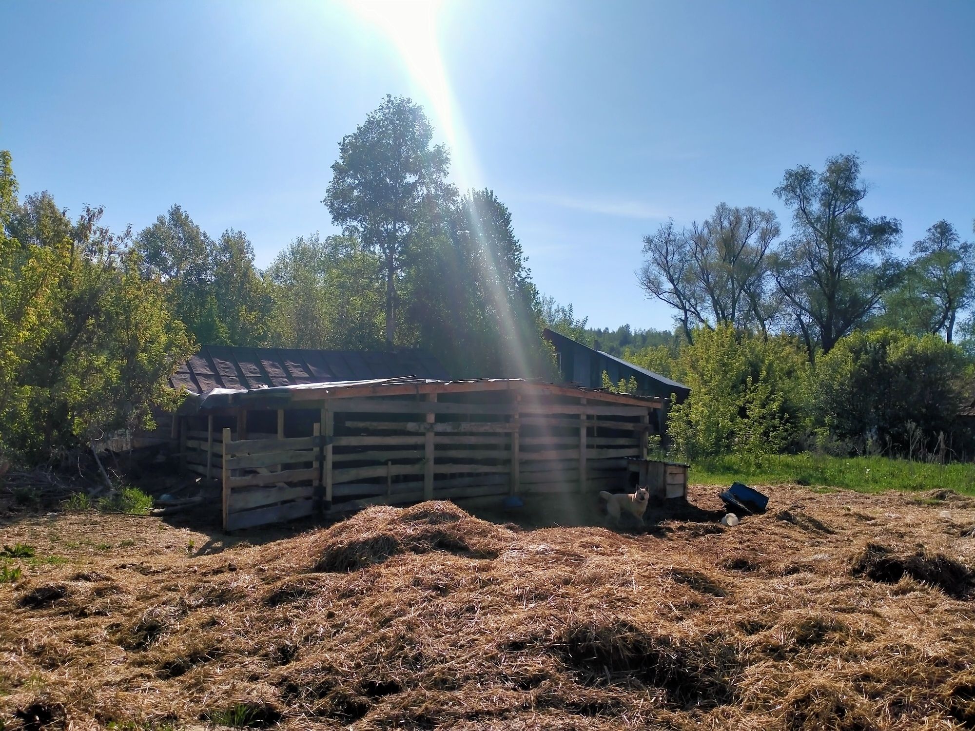 Продам крестьянское хозяйство, фазенда, усадьба. п. Белоусовка.