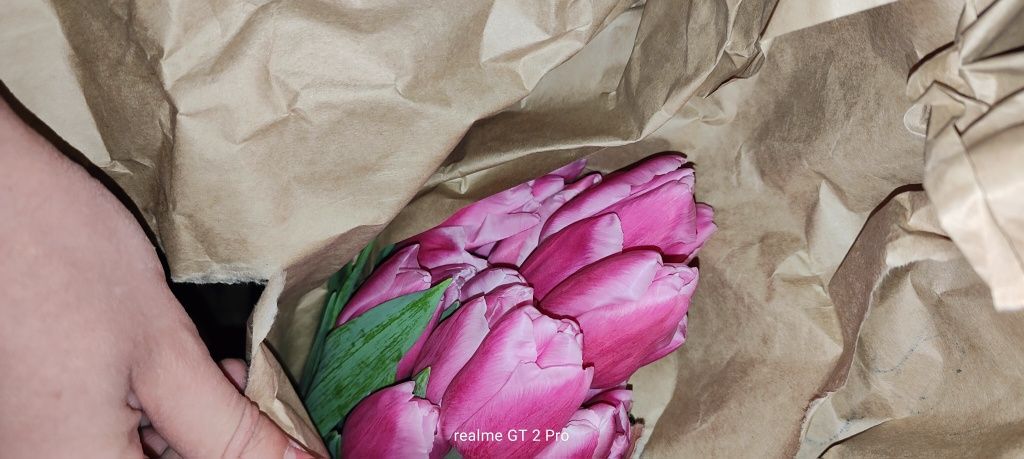 Продам заводские железные диски с шинами от Кобальт на R14.