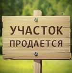 Зарослыйдан 8 соттык жер сатылады