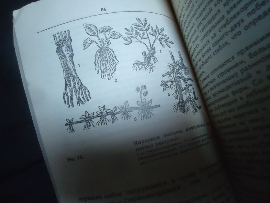 Книга Приемы для Цветочного оформления . Полезно очень для landscaping