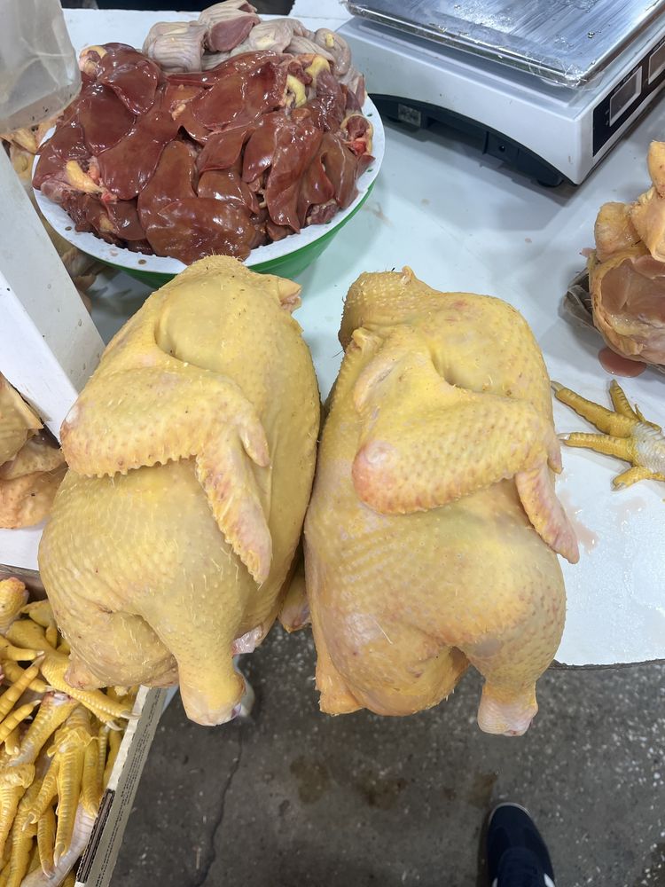 Куры бройлера Мясо домашней курицы