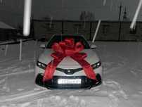 Бант на машину/Подарочный бантик на авто