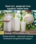 Козье молоко Ешкі сүті