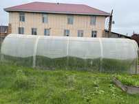 Продам 2 парника б/у, пазмеры 3х8 м.
