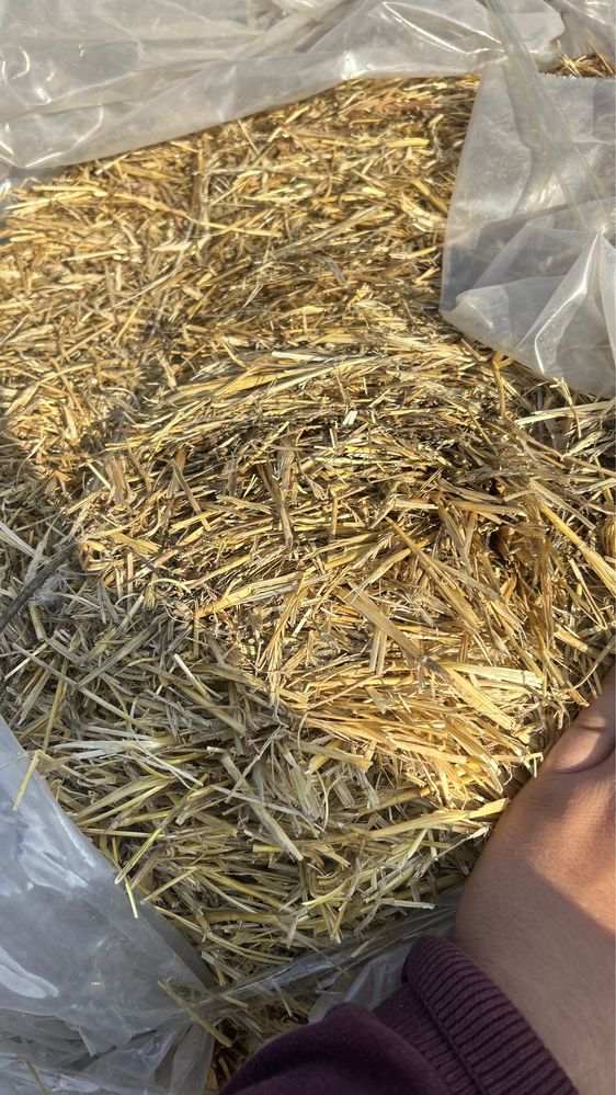 Салома сухая по городу в любом количестве
