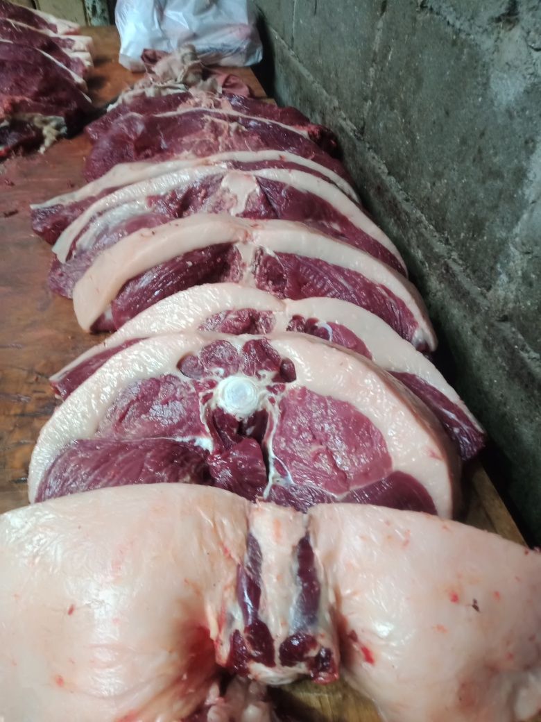 Продам жырных лошадей