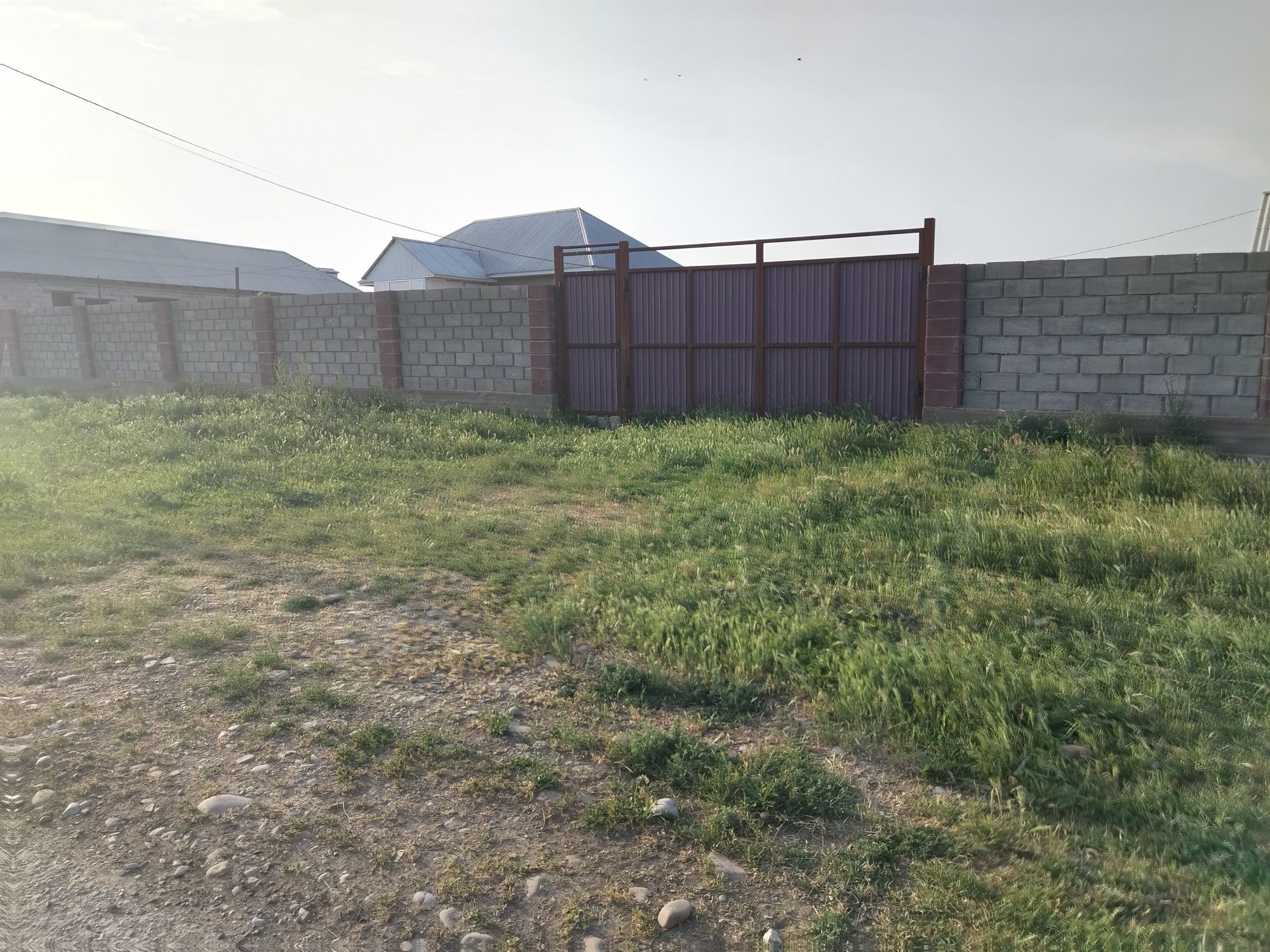 Срочно продам фазенду