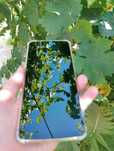 Redmi 13C 256gb память 8+4 озу